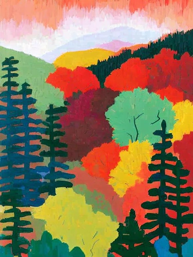 Muir Woods National Park 1 United States Of America Abstract Colourful