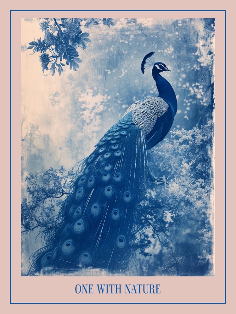 Peacock In The Wild Cyanotype Inspired 6 Poster