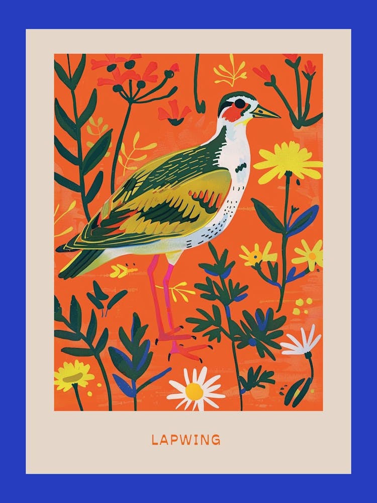 Frühlingsvögel Poster Kiebitz 2