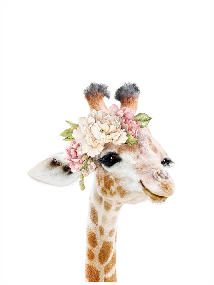 Girafe florale Coucou