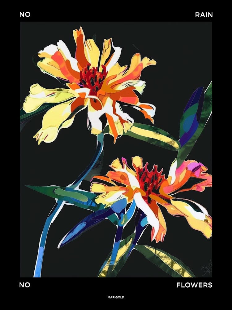 No Rain No Flowers Poster Marigold 3