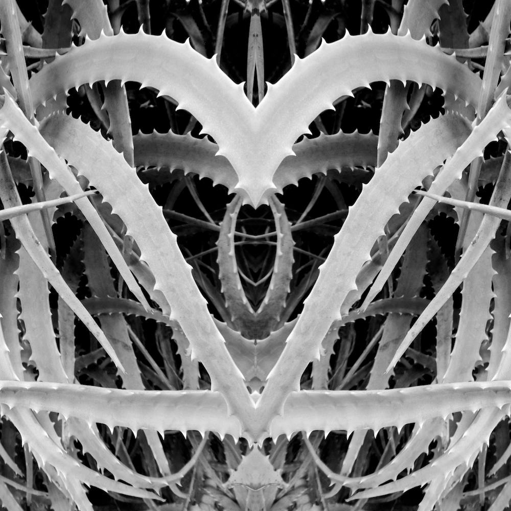 Spiked Bw