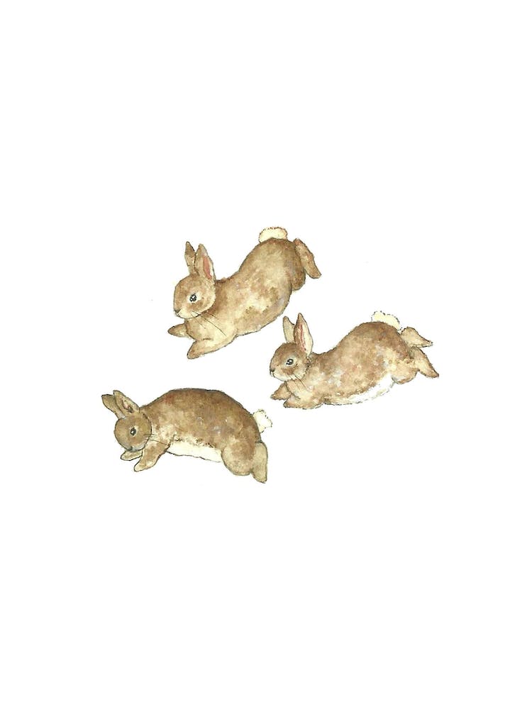 Frolicking Rabbits