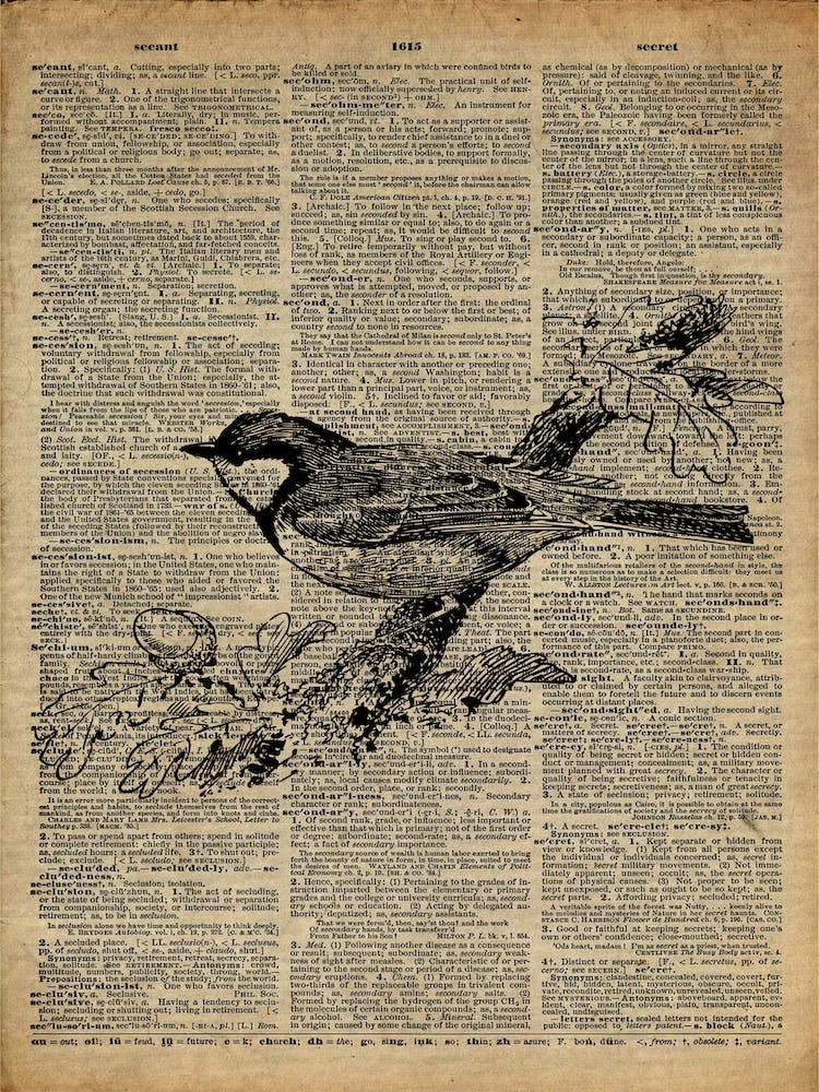 Sparrow Bird