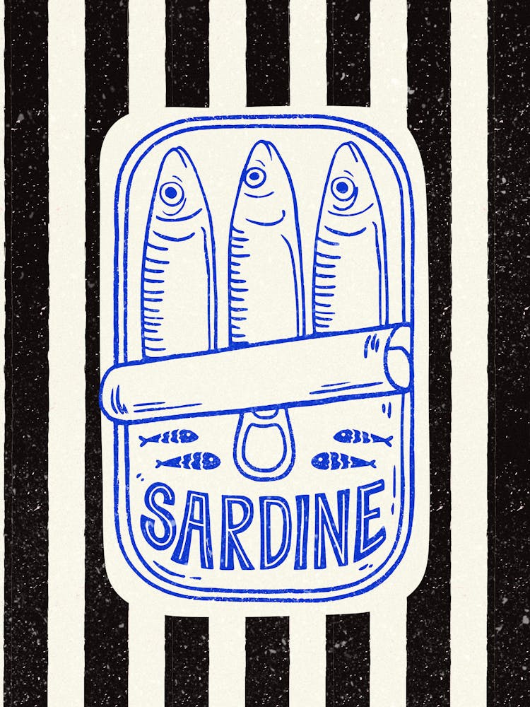 Sardine 3