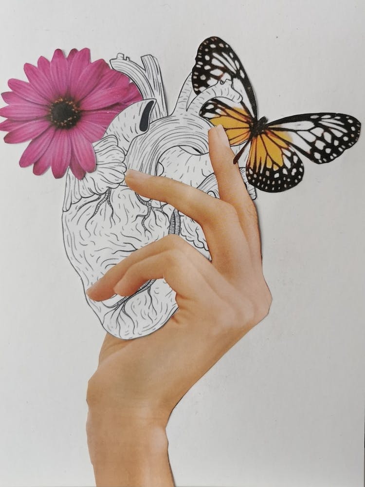 Heart And Butterflies