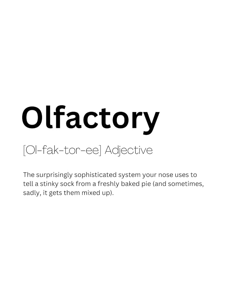 Olfactory Definition Meaning