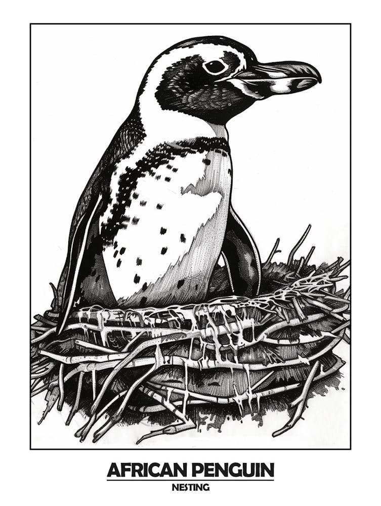 Penguin Nesting Poster 1
