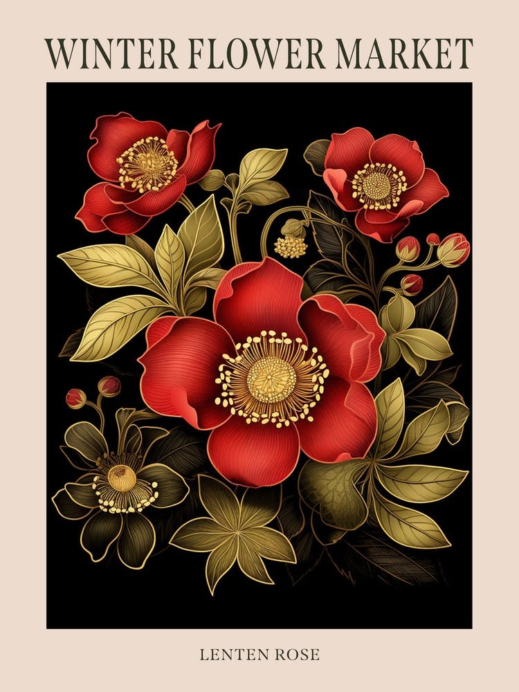 Lenten Rose 3 Winter Flower Market Poster