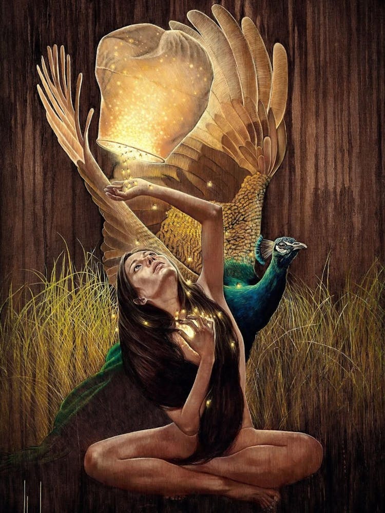 Peacock And A Woman
