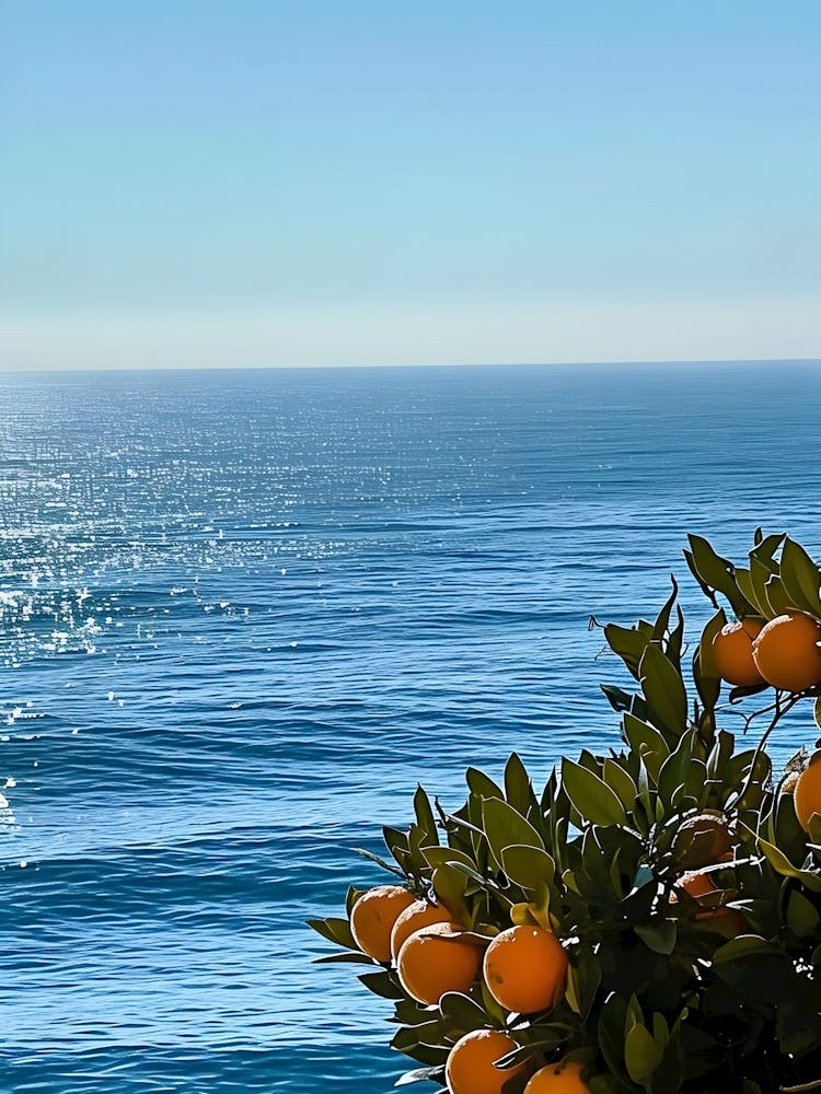 Oranges On The Beach