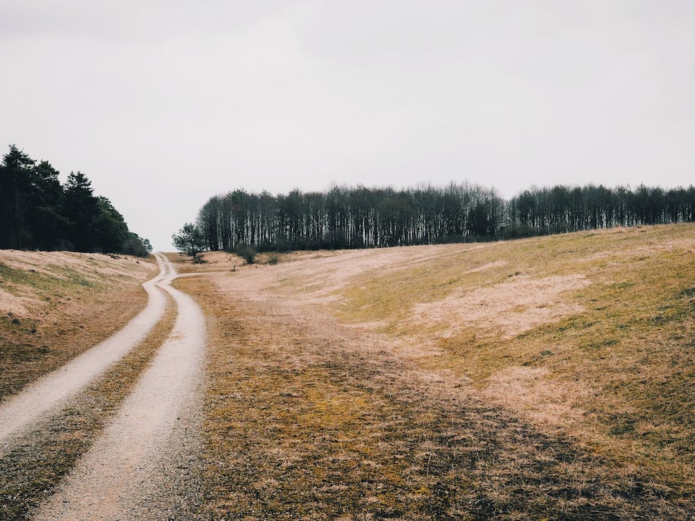 Weitläufiges Ackerland