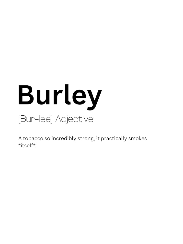 Burley Definition Meaning 1