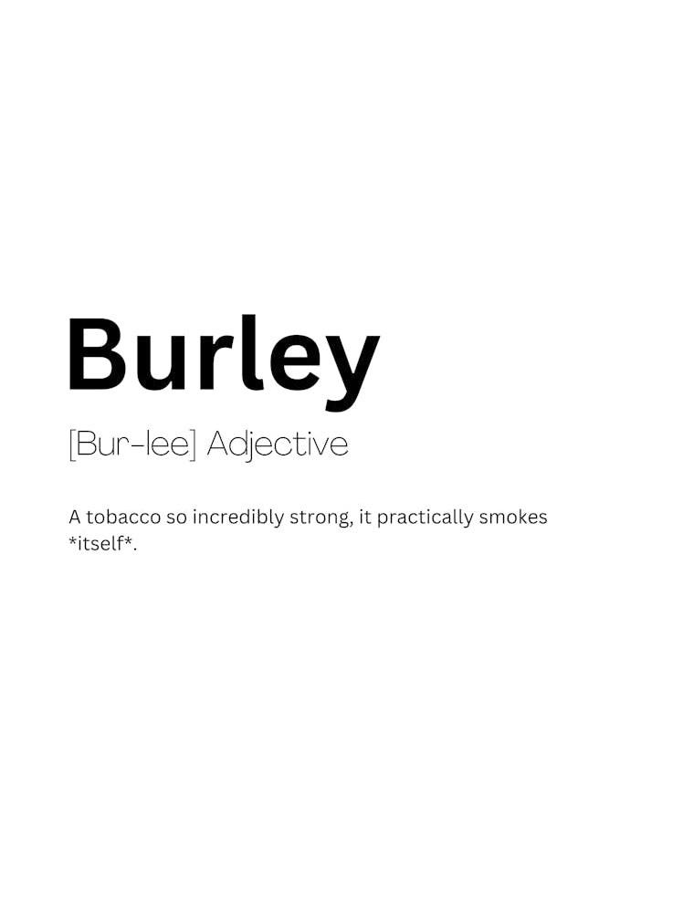 Burley Definition Meaning 1