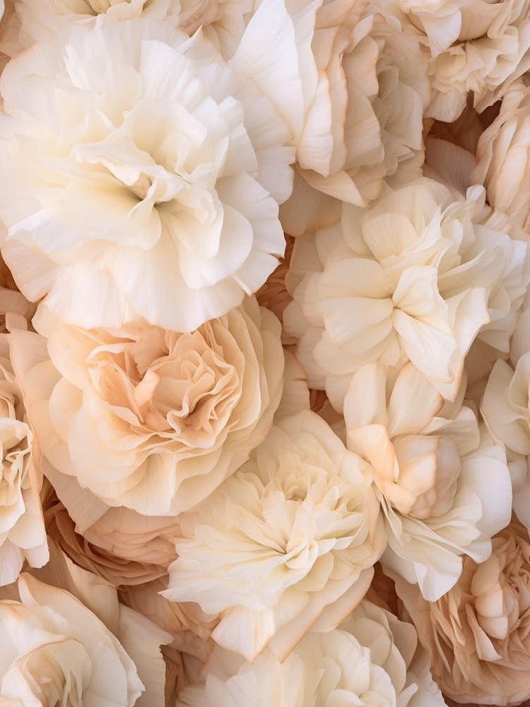 Boho Dried Flowers Lisianthus 3