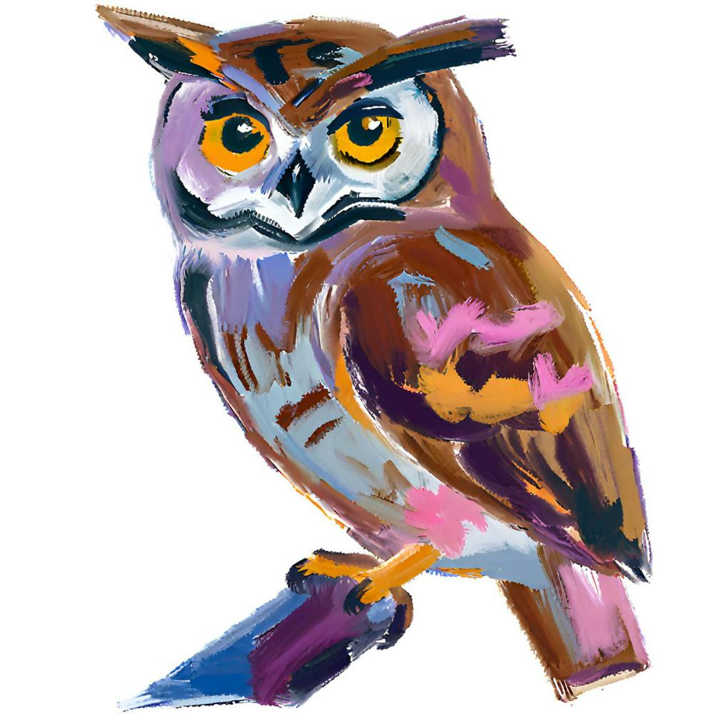 Owl 04