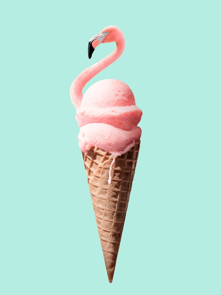Flamingo Cone