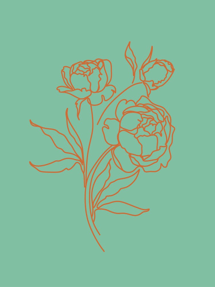 Peonies 3