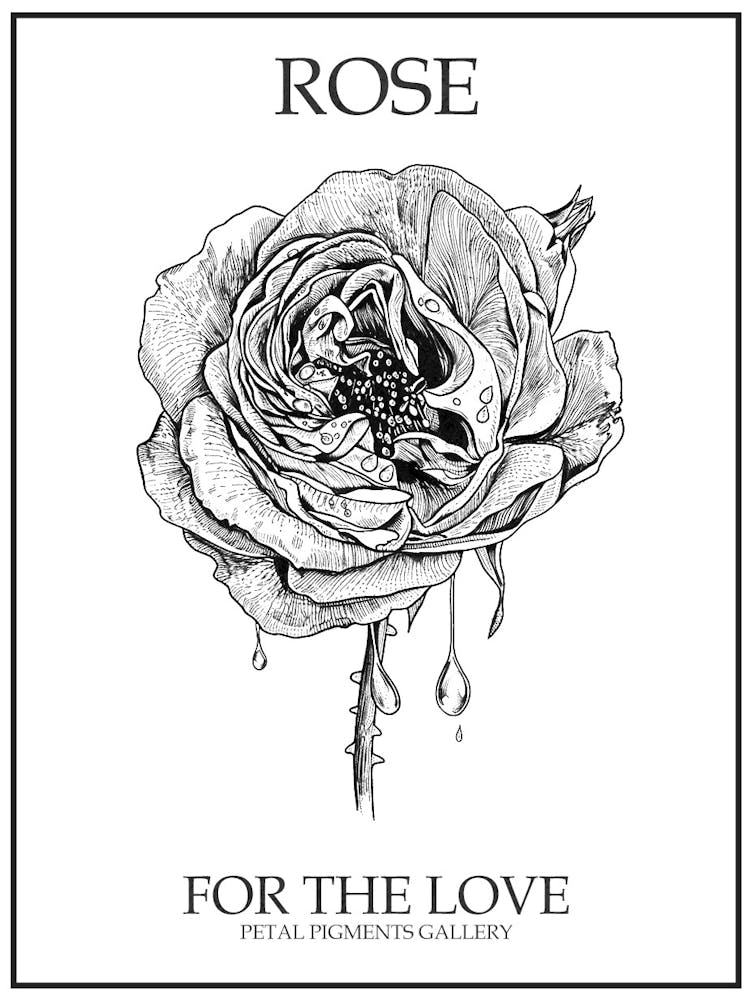 Black And White Rose Line Drawing 1 Poster