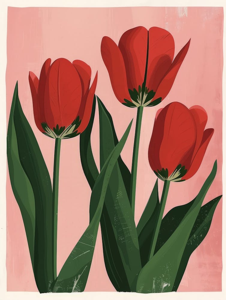 Rote Tulpen 1