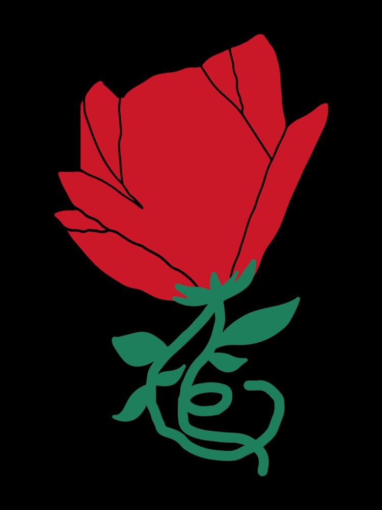 Rose