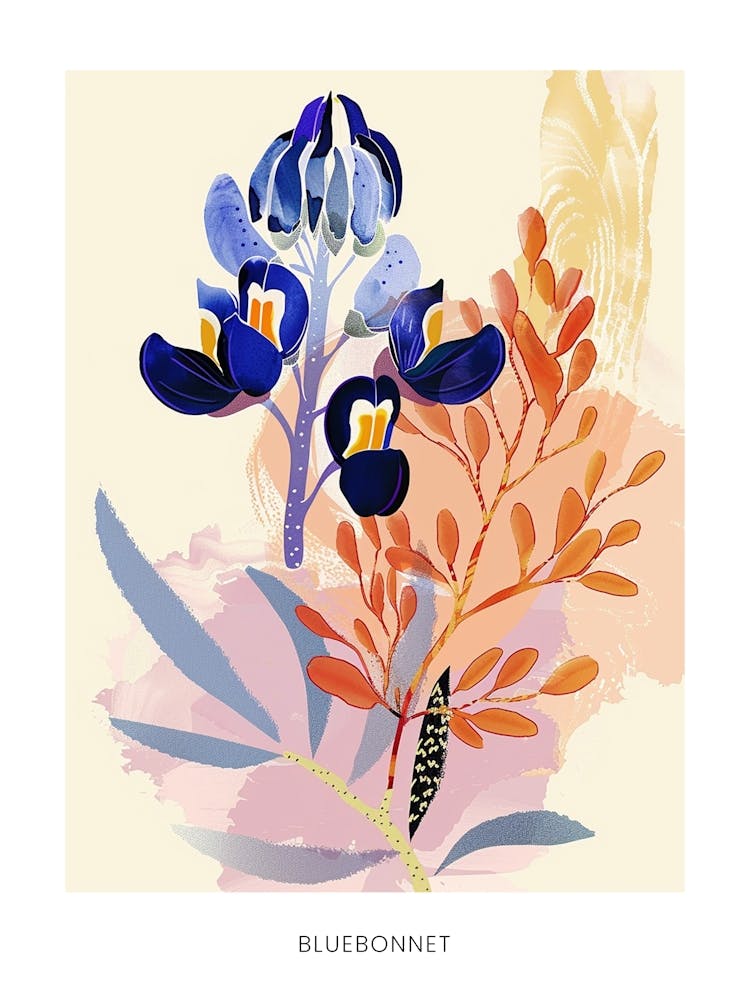 Affiche Illustration Florale Colorée Bluebonnet 8