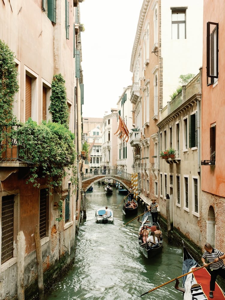 Venedig auf Film
