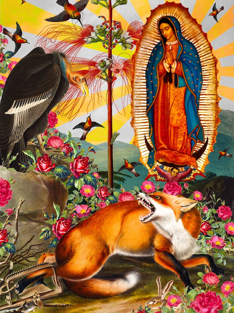 Guadalupe of the Fox and Vulture