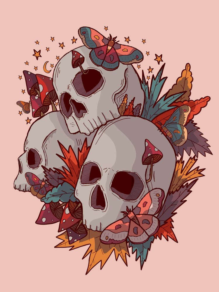 Moths And Skulls