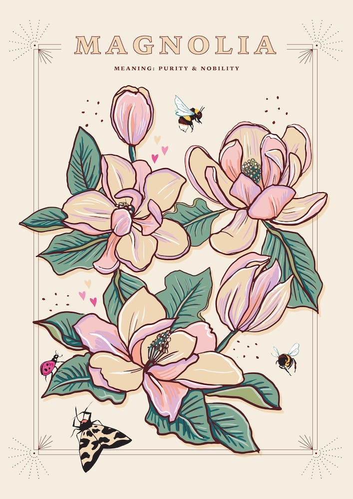 Magnolia On Cream