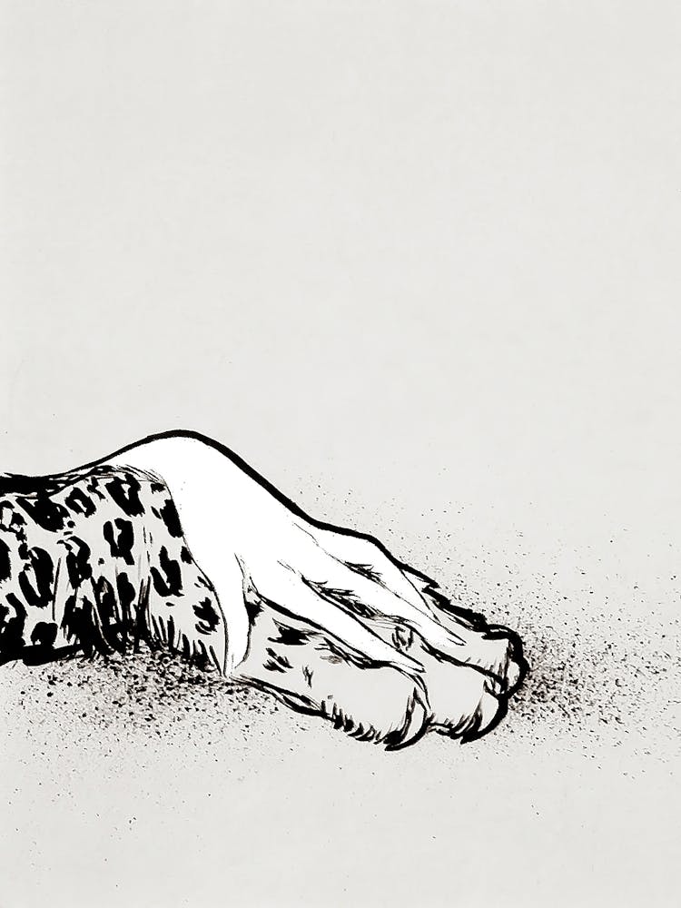 Leopard Paw and Hand, Black and White Vintage Art