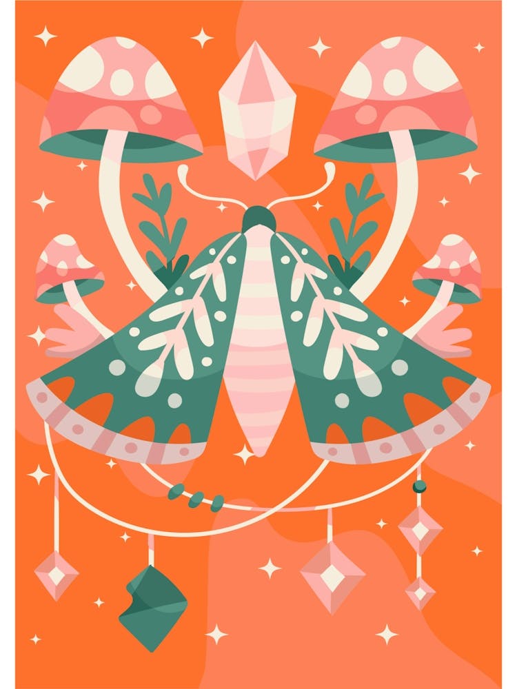 Butterfly 2