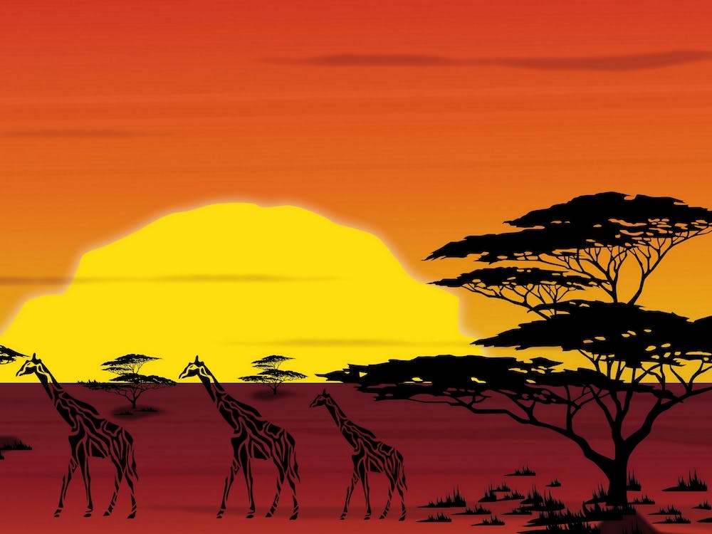 African Sunset