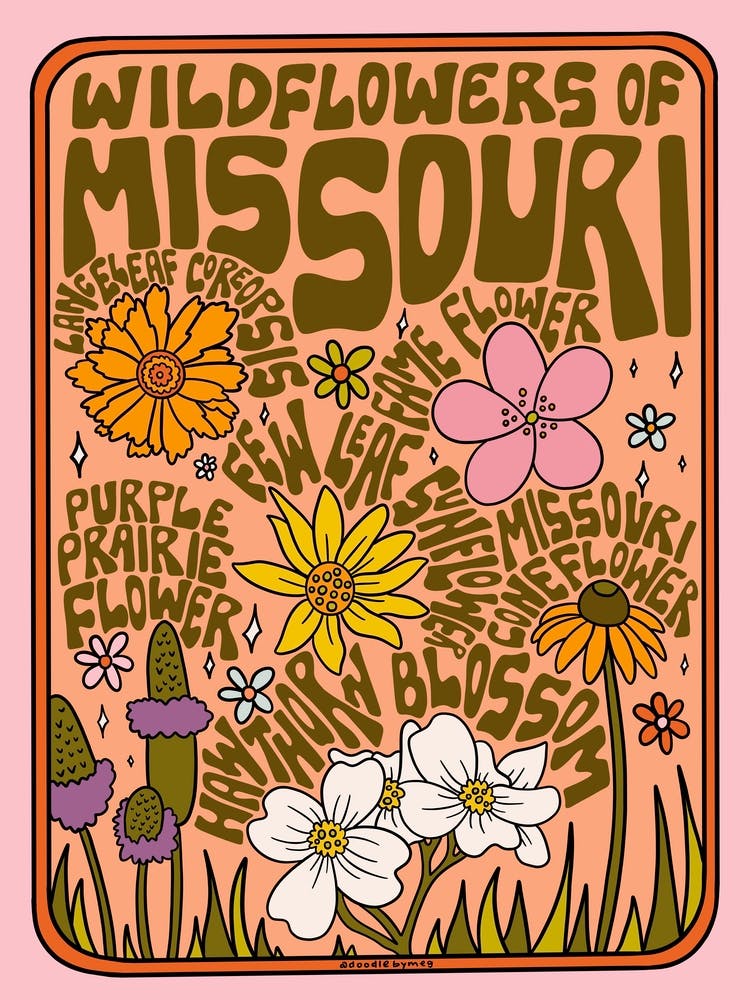Missouri Wildflowers