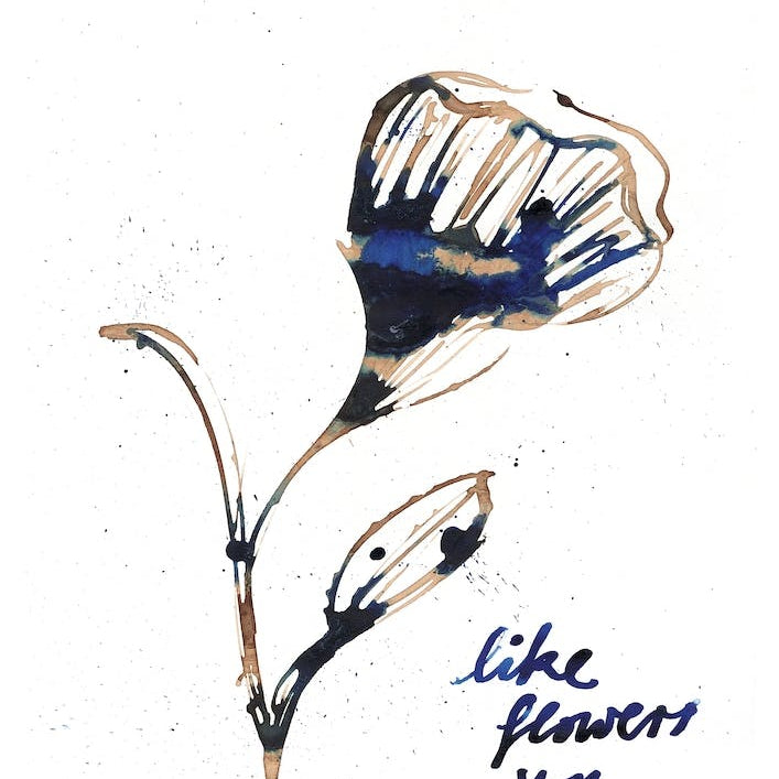 Like Flowers You Should Open