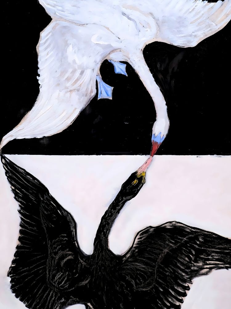 Hilma Af Klint Swans