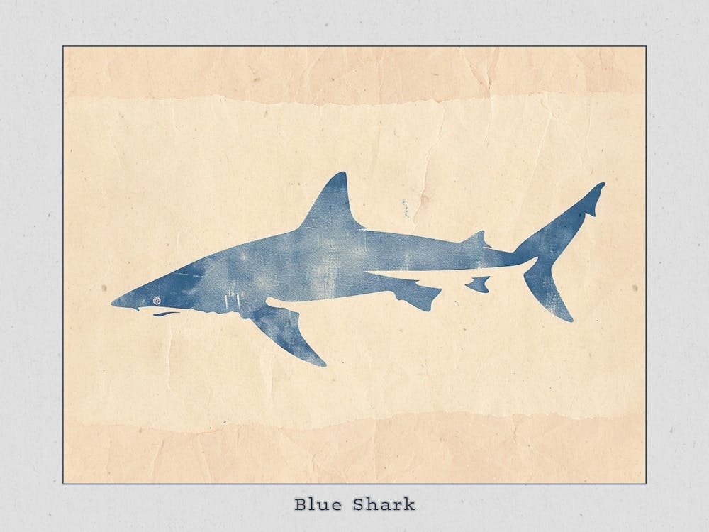 Blue Shark Grey Silhouette 3 Poster