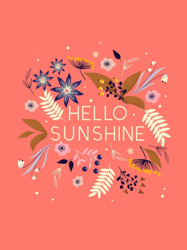 Hello Sunshine