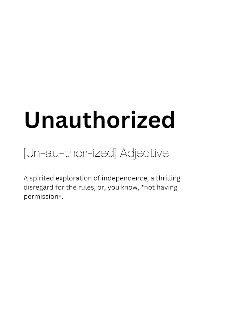 Unauthorized Definition Meaning