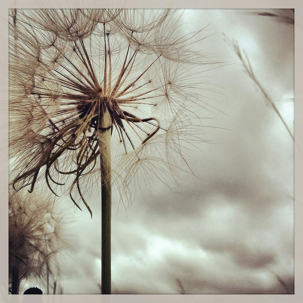 Overnight Fame Square