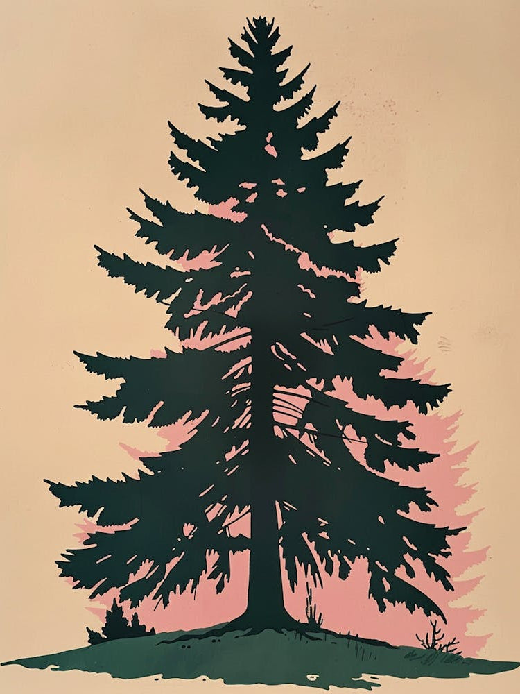 Douglas Fir Tree Illustration Colourful 4
