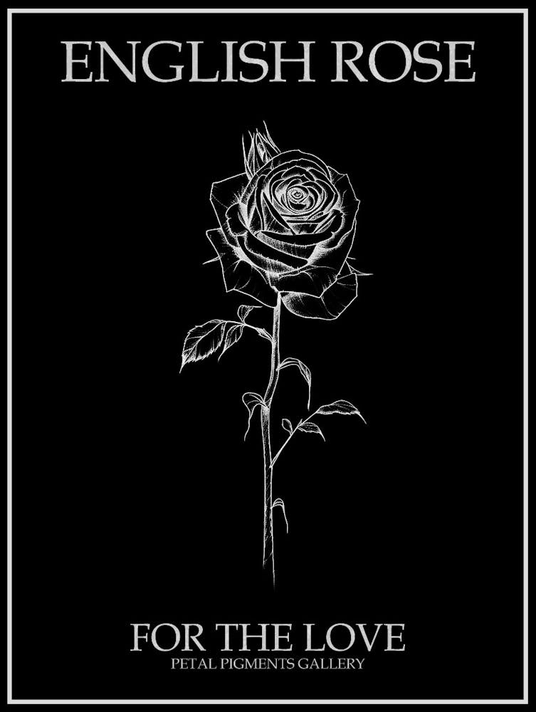 English Rose Black And White Line Drawing 16 Poster Inverted