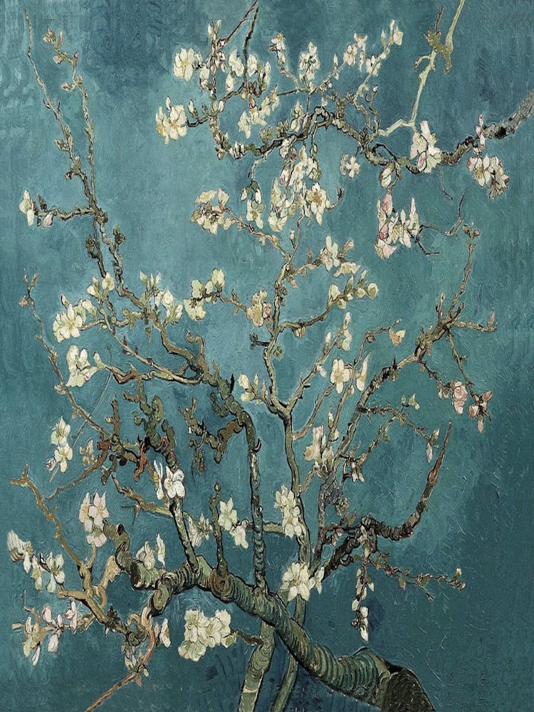 Blossoming Almond Tree 1
