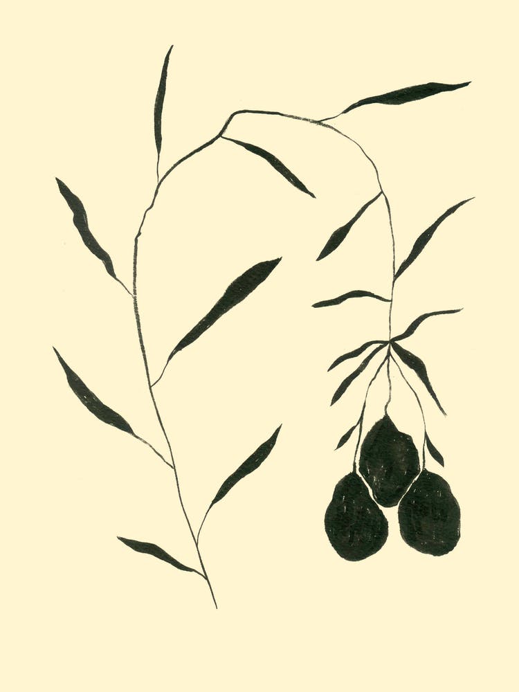 Black And White Fruits Hanging