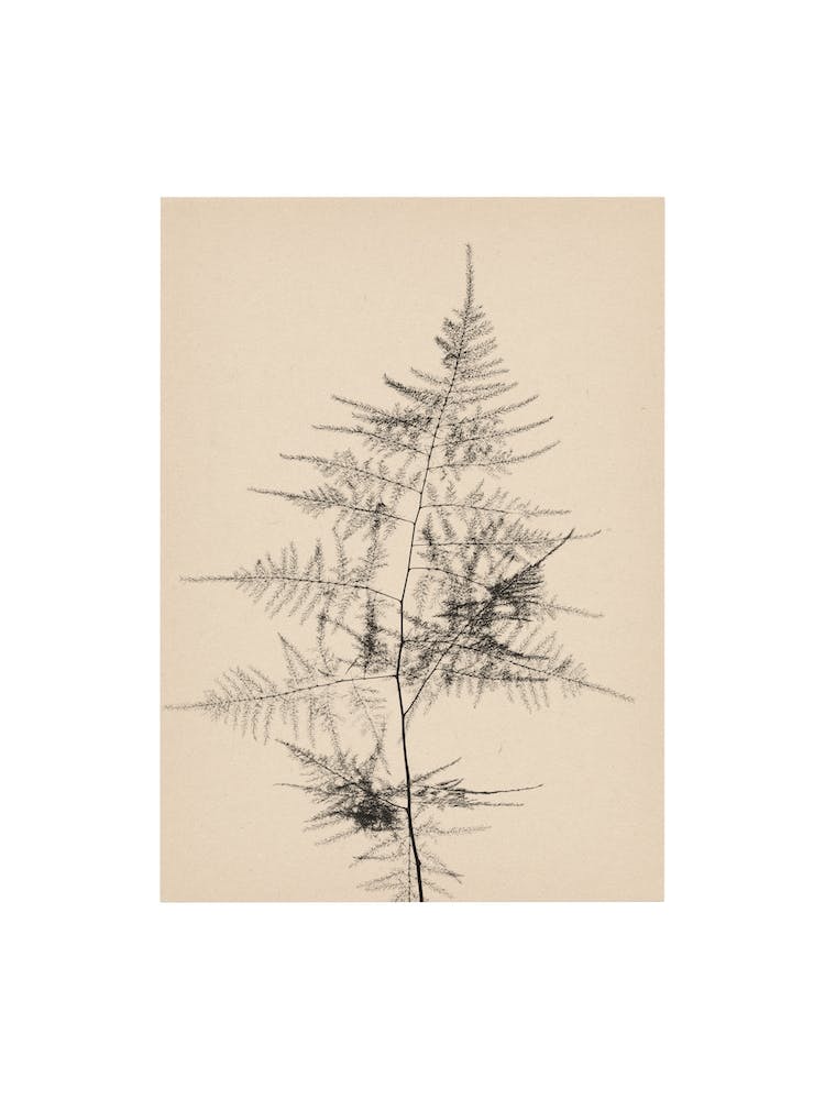 Nature Mix And Match 16