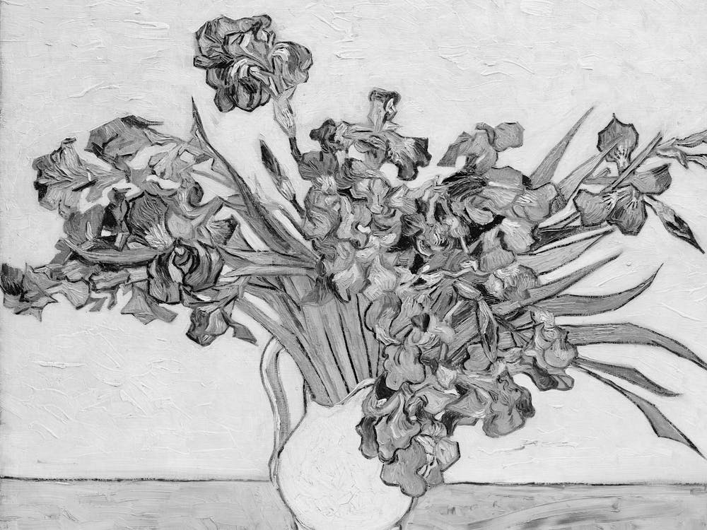 Irises In A Vase 1