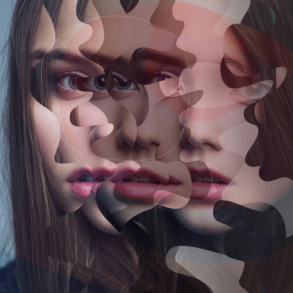 Another Portrait Disaster N 2