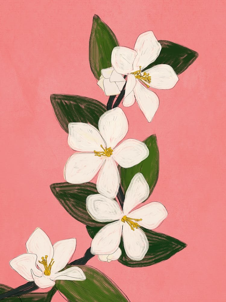 Blooming Branch Pink