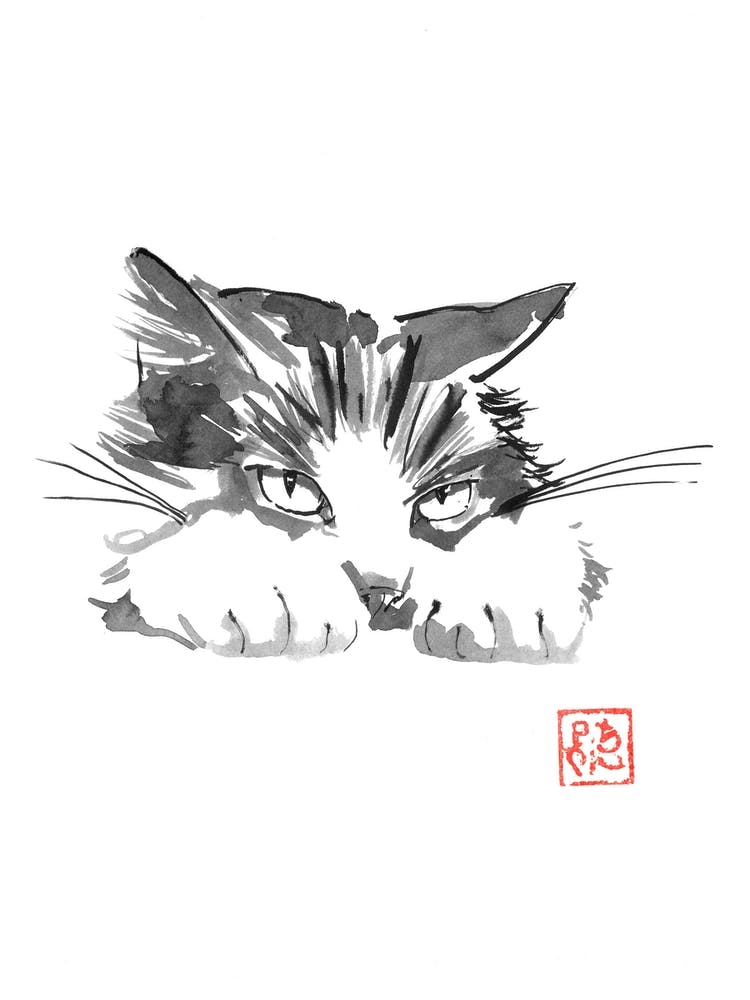 Boudeur Cat