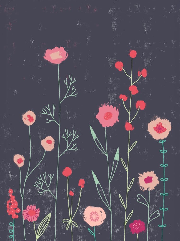 Plymouth Flowers in the Dark